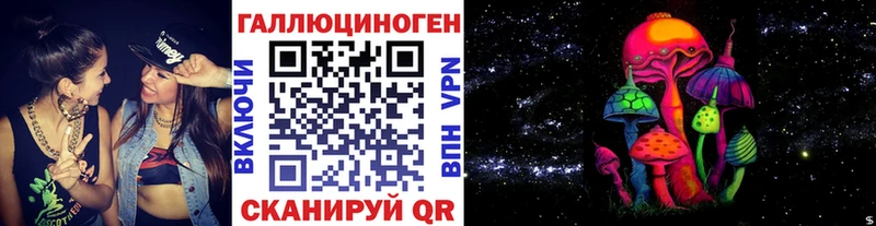 Галлюциногенные грибы GOLDEN TEACHER где купить наркотик Новокубанск